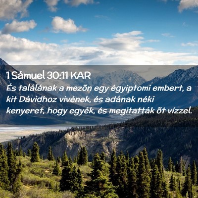 Picture 02 - 1 Sámuel 30:11 KAR - És találának a mezõn egy égyiptomi embert, a - Bible Verse Picture