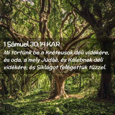 Picture 02 - 1 Sámuel 30:14 KAR - Mi törtünk be a Kréteusok déli vidékére, - Bible Verse Picture