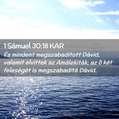 Picture 02 - 1 Sámuel 30:18 KAR - És mindent megszabadított Dávid, valamit - Bible Verse Picture