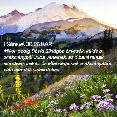 Picture 02 - 1 Sámuel 30:26 KAR - Mikor pedig Dávid Siklágba érkezék, külde a - Bible Verse Picture