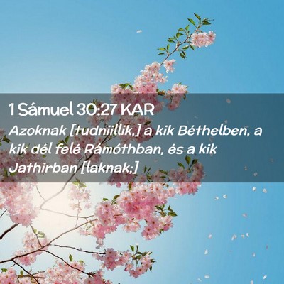 Picture 02 - 1 Sámuel 30:27 KAR - Azoknak [tudniillik,] a kik Béthelben, a kik - Bible Verse Picture