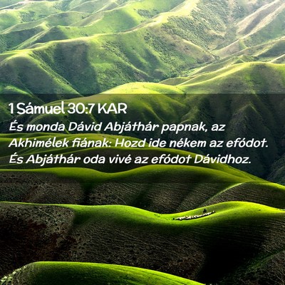 Picture 02 - 1 Sámuel 30:7 KAR - És monda Dávid Abjáthár papnak, az Akhimélek - Bible Verse Picture