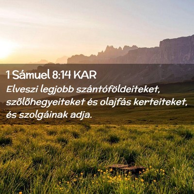 Picture 02 - 1 Sámuel 8:14 KAR - Elveszi legjobb szántóföldeiteket, - Bible Verse Picture