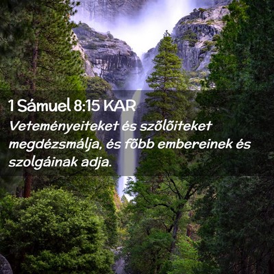 Picture 02 - 1 Sámuel 8:15 KAR - Veteményeiteket és szõlõiteket - Bible Verse Picture