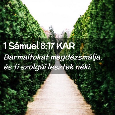 Picture 02 - 1 Sámuel 8:17 KAR - Barmaitokat megdézsmálja, és ti szolgái - Bible Verse Picture
