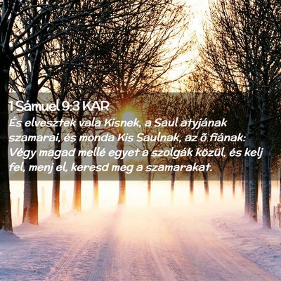 Picture 02 - 1 Sámuel 9:3 KAR - És elvesztek vala Kisnek, a Saul atyjának - Bible Verse Picture