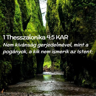 Picture 02 - 1 Thesszalonika 4:5 KAR - Nem kívánság gerjedelmével, mint a pogányok, - Bible Verse Picture