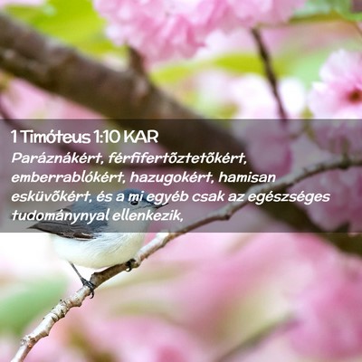 Picture 02 - 1 Timóteus 1:10 KAR - Paráznákért, férfifertõztetõkért, - Bible Verse Picture