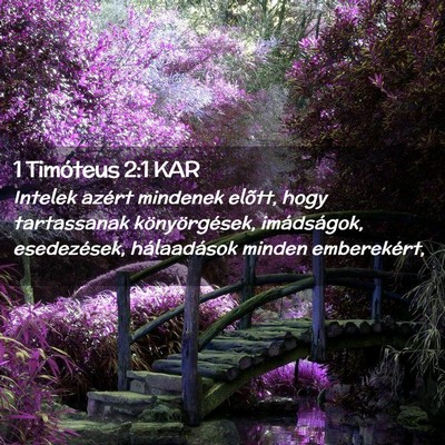 Picture 02 - 1 Timóteus 2:1 KAR - Intelek azért mindenek elõtt, hogy tartassanak - Bible Verse Picture