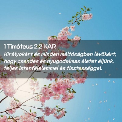 Picture 02 - 1 Timóteus 2:2 KAR - Királyokért és minden méltóságban - Bible Verse Picture