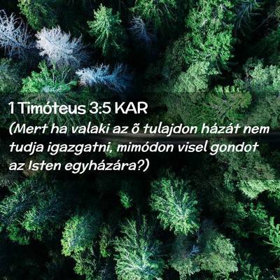 Picture 02 - 1 Timóteus 3:5 KAR - (Mert ha valaki az õ tulajdon házát nem tudja - Bible Verse Picture