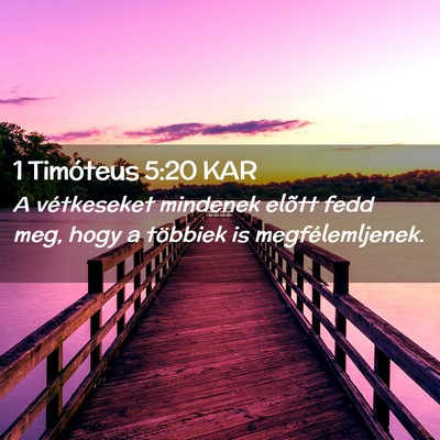 Picture 02 - 1 Timóteus 5:20 KAR - A vétkeseket mindenek elõtt fedd meg, hogy a - Bible Verse Picture