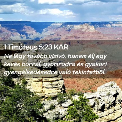 Picture 02 - 1 Timóteus 5:23 KAR - Ne légy tovább vízivó, hanem élj egy kevés - Bible Verse Picture