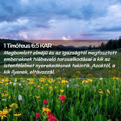 Picture 02 - 1 Timóteus 6:5 KAR - Megbomlott elméjû és az igazságtól - Bible Verse Picture