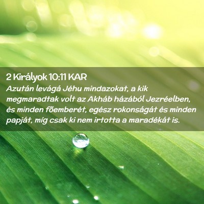 Picture 02 - 2 Királyok 10:11 KAR - Azután levágá Jéhu mindazokat, a kik - Bible Verse Picture