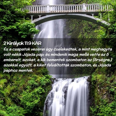 Picture 02 - 2 Királyok 11:9 KAR - És a csapatok vezérei úgy cselekedtek, a mint - Bible Verse Picture