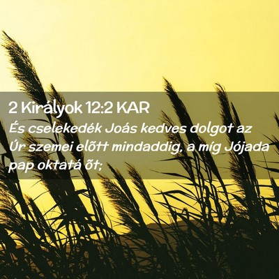 Picture 02 - 2 Királyok 12:2 KAR - És cselekedék Joás kedves dolgot az Úr szemei - Bible Verse Picture
