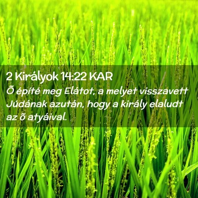 Picture 02 - 2 Királyok 14:22 KAR - Õ építé meg Elátot, a melyet visszavett - Bible Verse Picture
