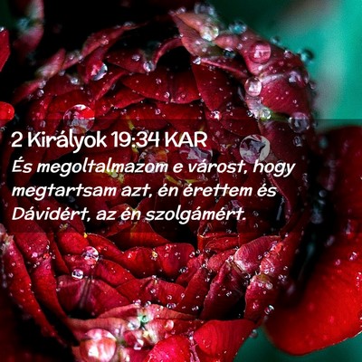 Picture 02 - 2 Királyok 19:34 KAR - És megoltalmazom e várost, hogy megtartsam azt, - Bible Verse Picture