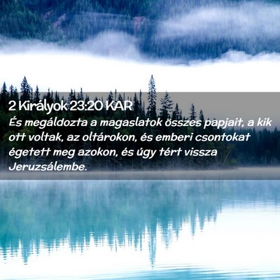 Picture 02 - 2 Királyok 23:20 KAR - És megáldozta a magaslatok összes papjait, a - Bible Verse Picture