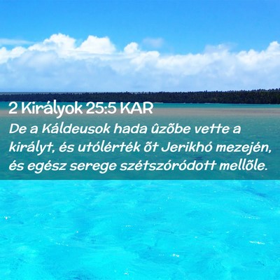 Picture 02 - 2 Királyok 25:5 KAR - De a Káldeusok hada ûzõbe vette a királyt, - Bible Verse Picture