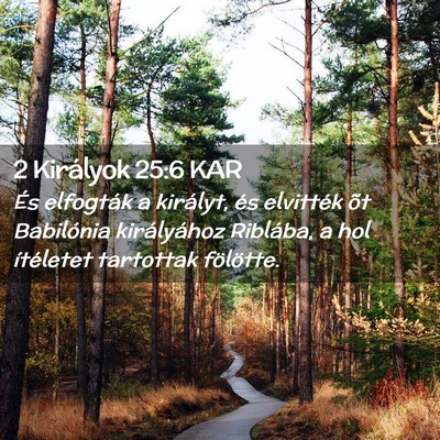 Picture 02 - 2 Királyok 25:6 KAR - És elfogták a királyt, és elvitték õt - Bible Verse Picture