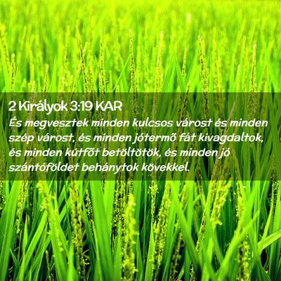 Picture 02 - 2 Királyok 3:19 KAR - És megvesztek minden kulcsos várost és minden - Bible Verse Picture