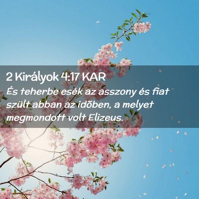 Picture 02 - 2 Királyok 4:17 KAR - És teherbe esék az asszony és fiat szült - Bible Verse Picture