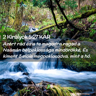 Picture 02 - 2 Királyok 5:27 KAR - Azért rád és a te magodra ragad a Naámán - Bible Verse Picture