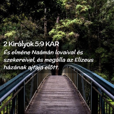 Picture 02 - 2 Királyok 5:9 KAR - És elméne Naámán lovaival és szekereivel, - Bible Verse Picture