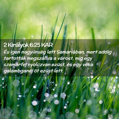 Picture 02 - 2 Királyok 6:25 KAR - És igen nagy inség lett Samariában, mert addig - Bible Verse Picture