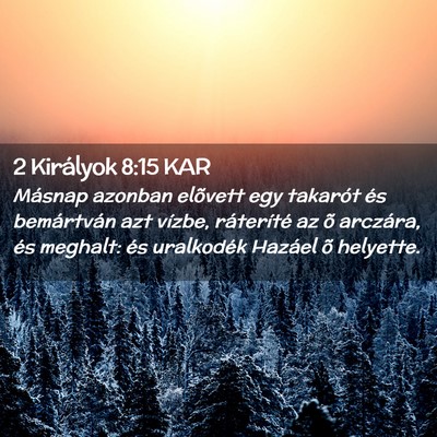 Picture 02 - 2 Királyok 8:15 KAR - Másnap azonban elõvett egy takarót és - Bible Verse Picture