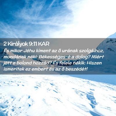 Picture 02 - 2 Királyok 9:11 KAR - És mikor Jéhu kiment az õ urának szolgáihoz, - Bible Verse Picture