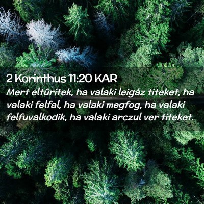 Picture 02 - 2 Korinthus 11:20 KAR - Mert eltûritek, ha valaki leigáz titeket, ha - Bible Verse Picture