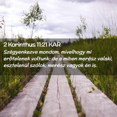 Picture 02 - 2 Korinthus 11:21 KAR - Szégyenkezve mondom, mivelhogy mi erõtelenek - Bible Verse Picture