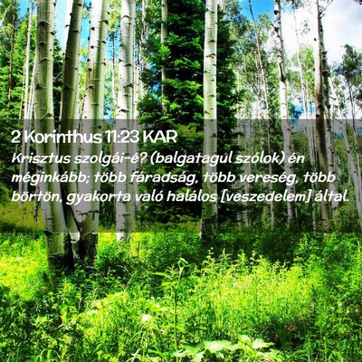 Picture 02 - 2 Korinthus 11:23 KAR - Krisztus szolgái-é? (balgatagul szólok) én - Bible Verse Picture