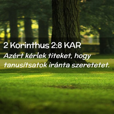 Picture 02 - 2 Korinthus 2:8 KAR - Azért kérlek titeket, hogy tanusítsatok - Bible Verse Picture