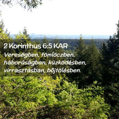 Picture 02 - 2 Korinthus 6:5 KAR - Vereségben, tömlöczben, háborúságban, - Bible Verse Picture