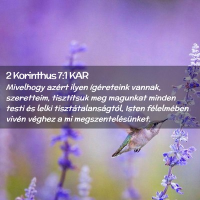 Picture 02 - 2 Korinthus 7:1 KAR - Mivelhogy azért ilyen ígéreteink vannak, - Bible Verse Picture