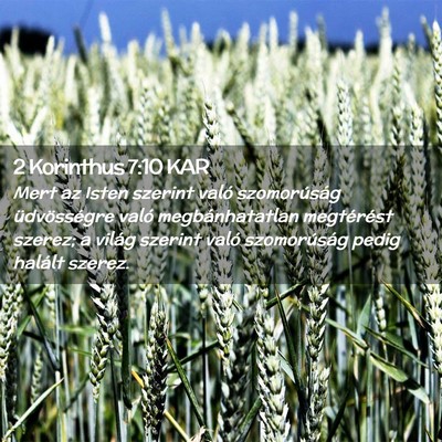Picture 02 - 2 Korinthus 7:10 KAR - Mert az Isten szerint való szomorúság - Bible Verse Picture