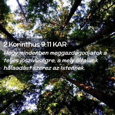 Picture 02 - 2 Korinthus 9:11 KAR - Hogy mindenben meggazdagodjatok a teljes - Bible Verse Picture