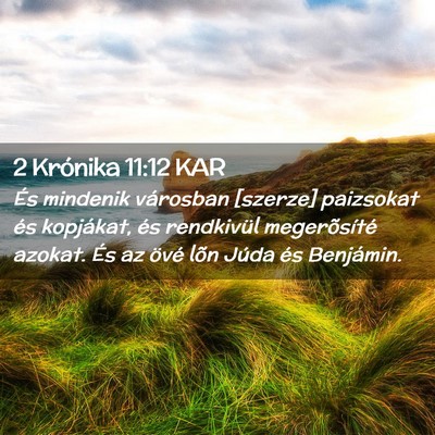 Picture 02 - 2 Krónika 11:12 KAR - És mindenik városban [szerze] paizsokat és - Bible Verse Picture