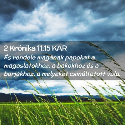 Picture 02 - 2 Krónika 11:15 KAR - És rendele magának papokat a magaslatokhoz, a - Bible Verse Picture