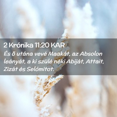 Picture 02 - 2 Krónika 11:20 KAR - És õ utána vevé Maakát, az Absolon - Bible Verse Picture
