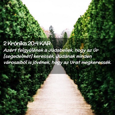 Picture 02 - 2 Krónika 20:4 KAR - Azért felgyûlének a Júdabeliek, hogy az Úr - Bible Verse Picture