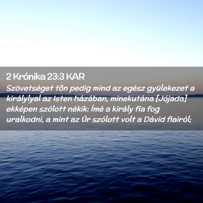 Picture 02 - 2 Krónika 23:3 KAR - Szövetséget tõn pedig mind az egész - Bible Verse Picture