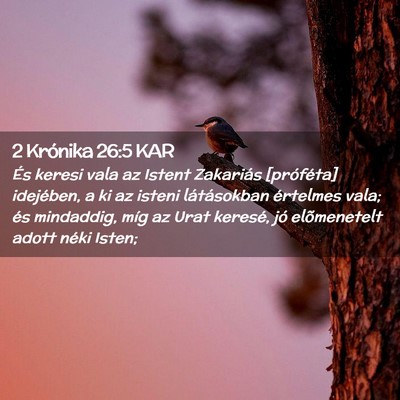 Picture 02 - 2 Krónika 26:5 KAR - És keresi vala az Istent Zakariás [próféta] - Bible Verse Picture