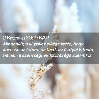 Picture 02 - 2 Krónika 30:19 KAR - Mindenkit, a ki szívét elkészítette, hogy - Bible Verse Picture
