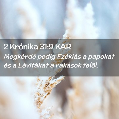 Picture 02 - 2 Krónika 31:9 KAR - Megkérdé pedig Ezékiás a papokat és a - Bible Verse Picture