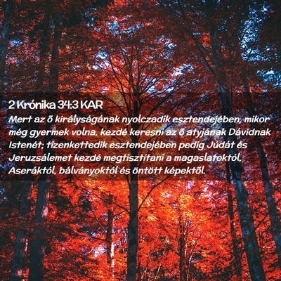 Picture 02 - 2 Krónika 34:3 KAR - Mert az õ királyságának nyolczadik - Bible Verse Picture
